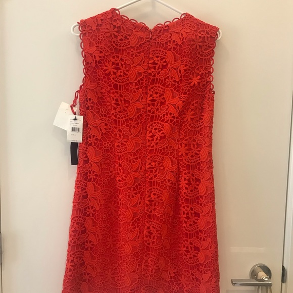 Cynthia Steffe Dress SZ 2 - Picture 4 of 7